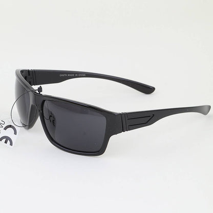 Classic Wayfarer Sunglasses