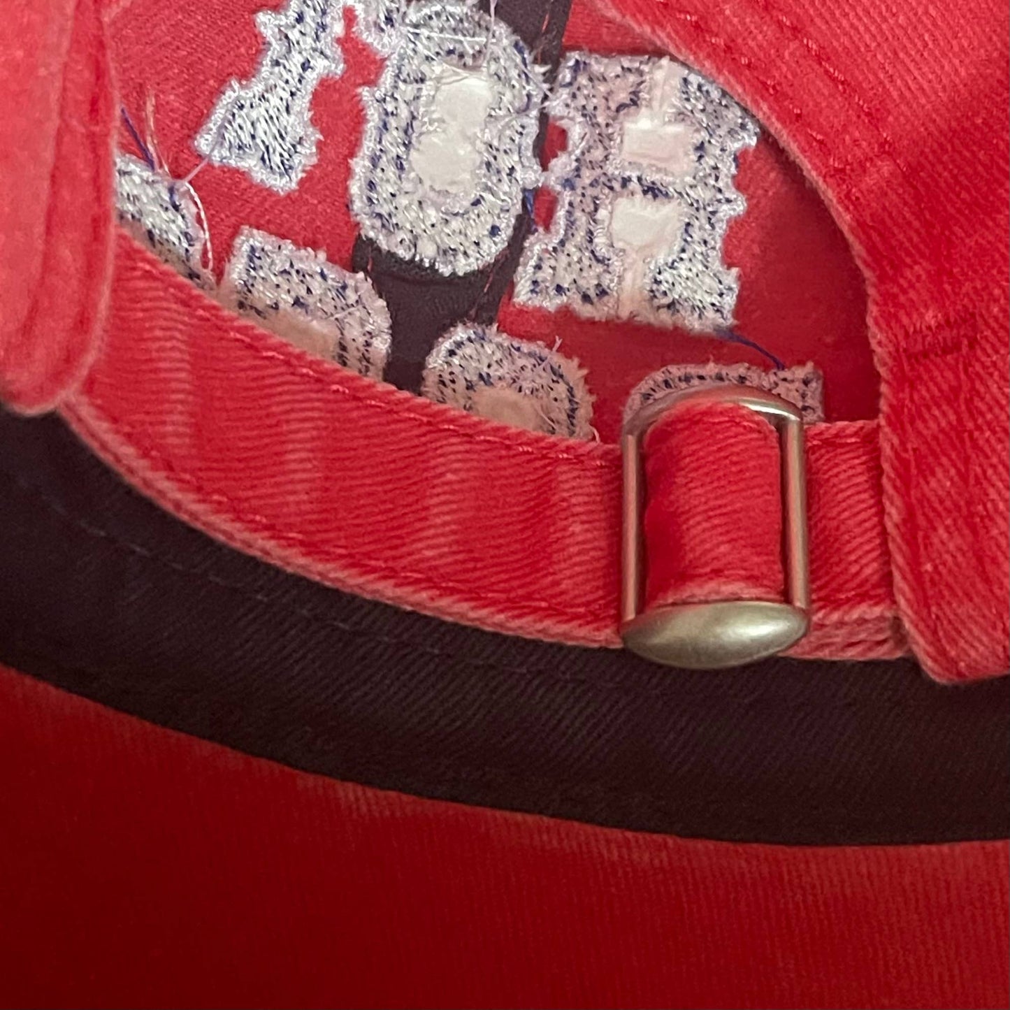 Hot Dogs Cap
