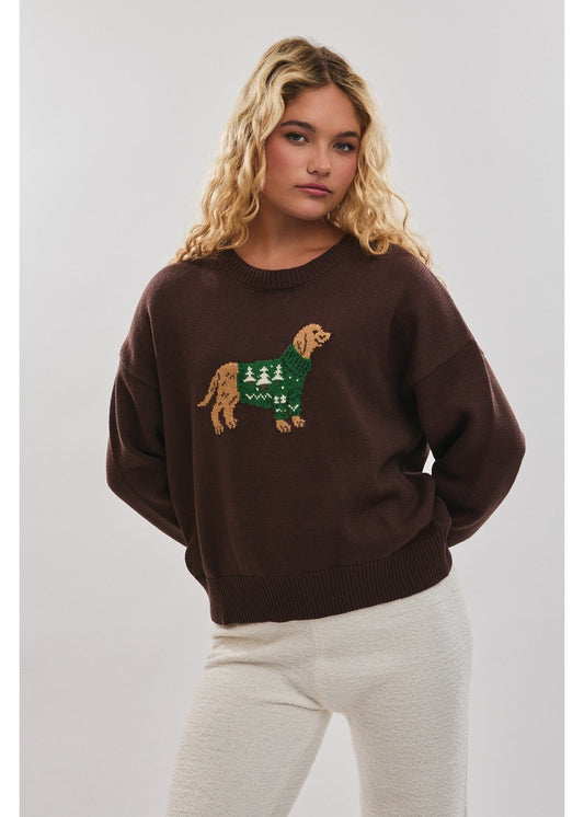 Brown Dog Sweater